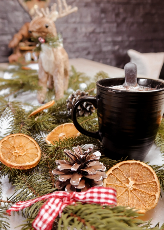 DIY Noël Comment faire des oranges séchées